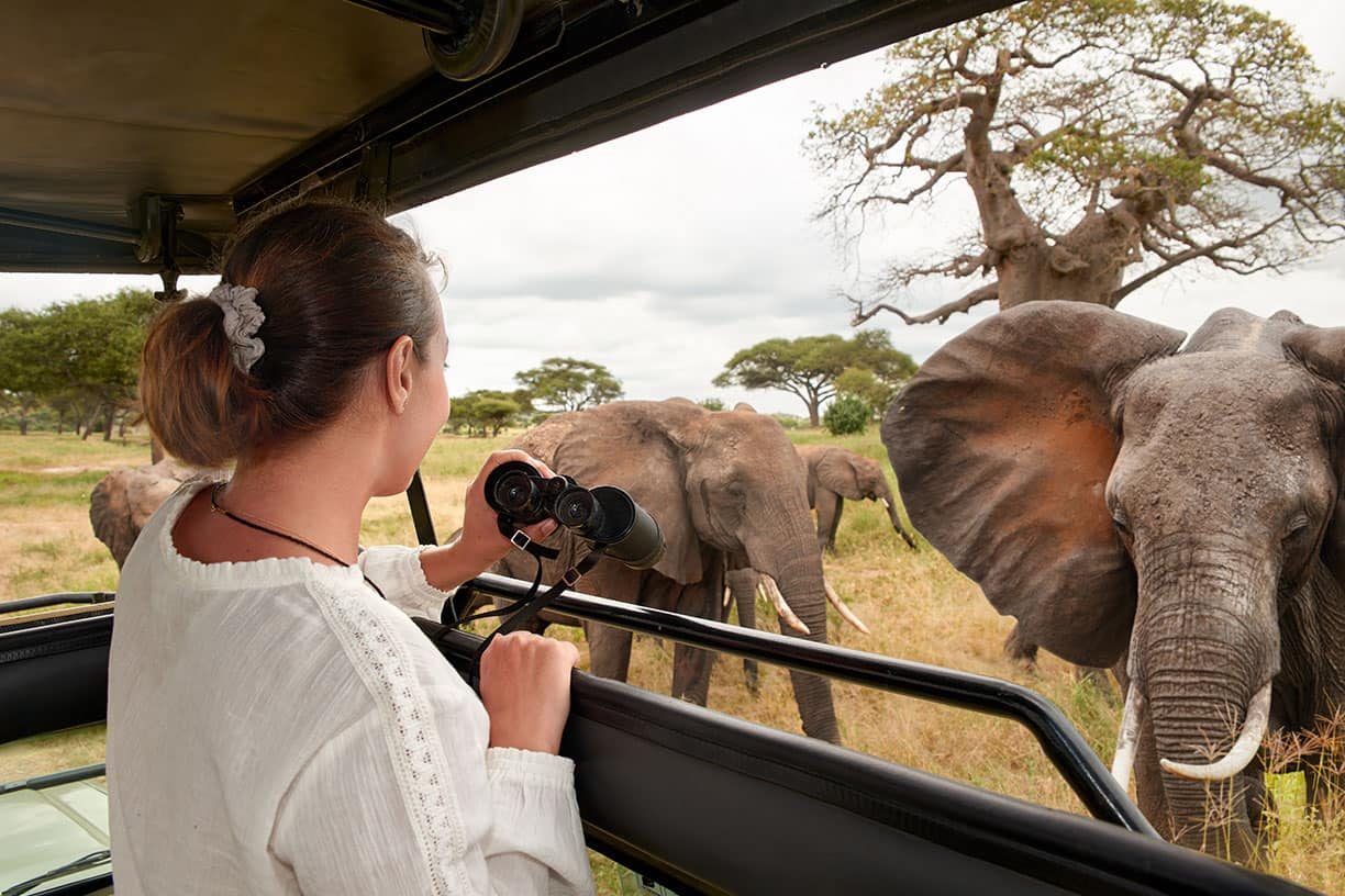 First-time visitors on a Tanzania safari game drive across the Serengeti plains.